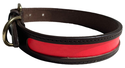 MACKENZIE & GEORGE X NATTILY DRESSED DOG COLLAR CORAL