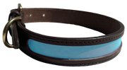 MACKENZIE & GEORGE X NATTILY DRESSED DOG COLLAR SKY BLUE