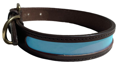 MACKENZIE & GEORGE X NATTILY DRESSED DOG COLLAR SKY BLUE