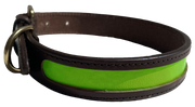 MACKENZIE & GEORGE X NATTILY DRESSED DOG COLLAR LIME GREEN