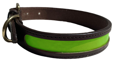 MACKENZIE & GEORGE X NATTILY DRESSED DOG COLLAR LIME GREEN