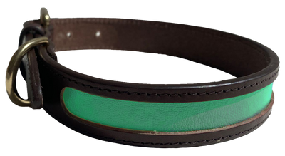 MACKENZIE & GEORGE X NATTILY DRESSED DOG COLLAR MINT GREEN