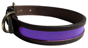 MACKENZIE & GEORGE X NATTILY DRESSED DOG COLLAR PURPLE&