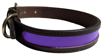 MACKENZIE & GEORGE X NATTILY DRESSED DOG COLLAR PURPLE&